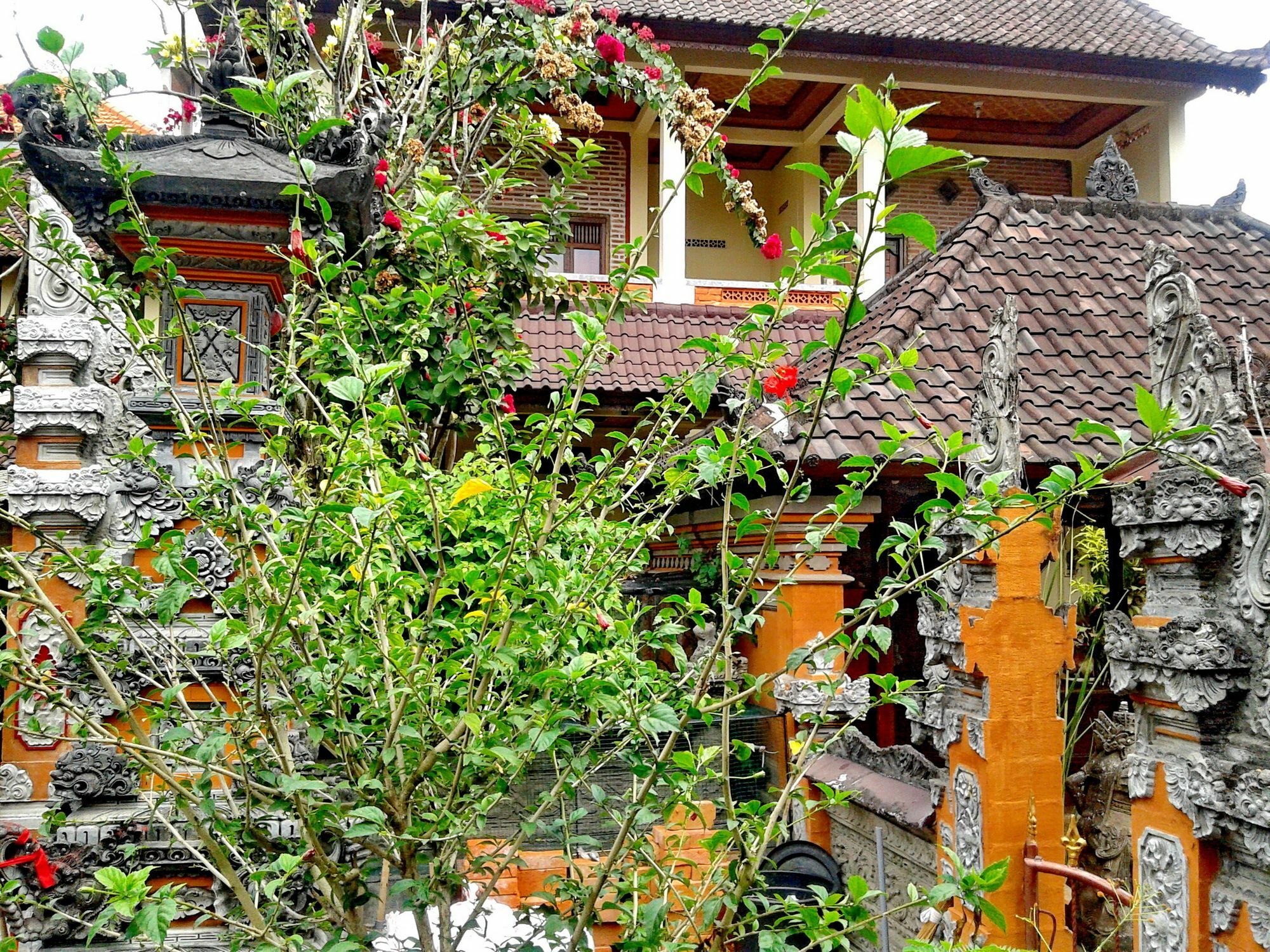 Arjuna * Ubud