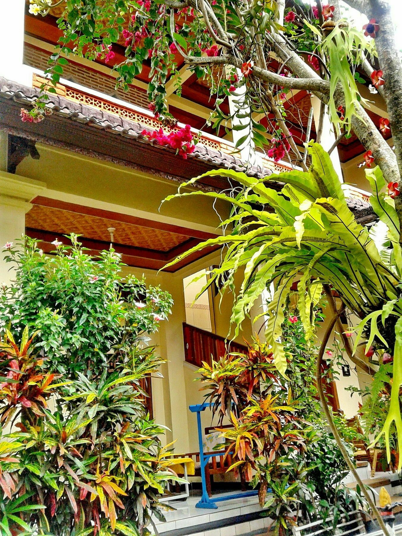 Arjuna Maison d'hôtes Ubud